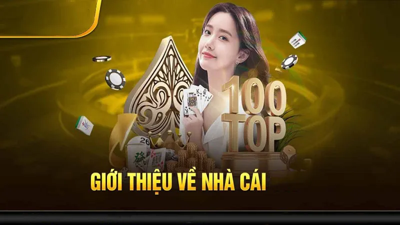 H13 Có Những Nhà Cung Cấp Nào Danh Mục Đối Tác Nổi Bật
