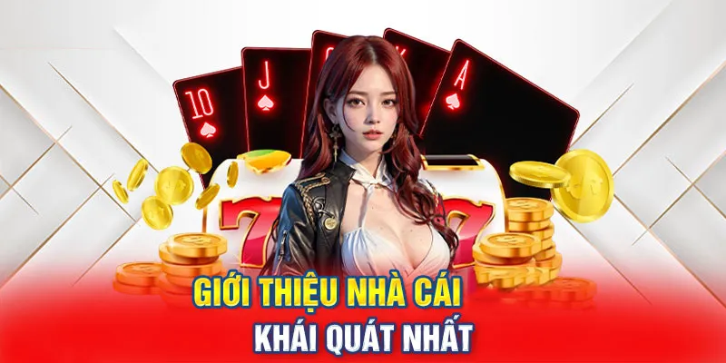 Tổng Quan Về Nhà Cái H13